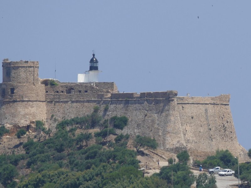 Dar Mimosas