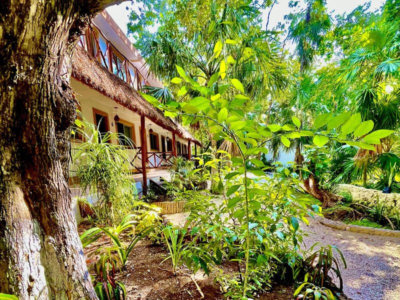 Hotel Tequila Cancun