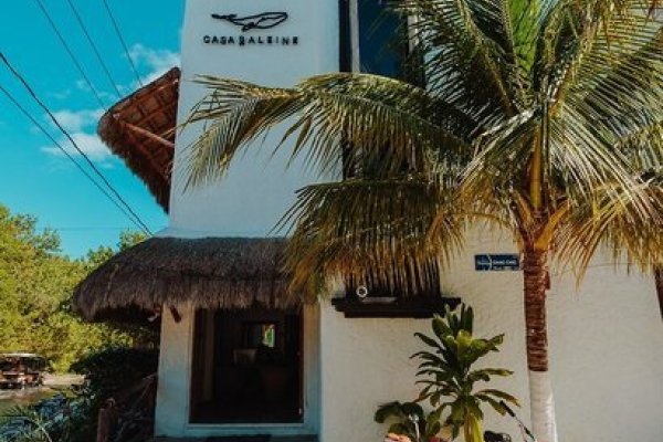 Hotel Casa Baleine