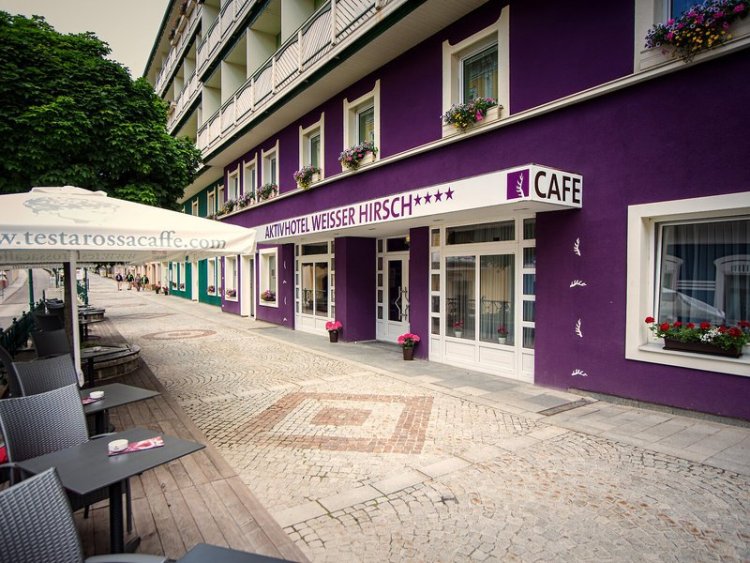 AKTIVHOTEL Weißer Hirsch