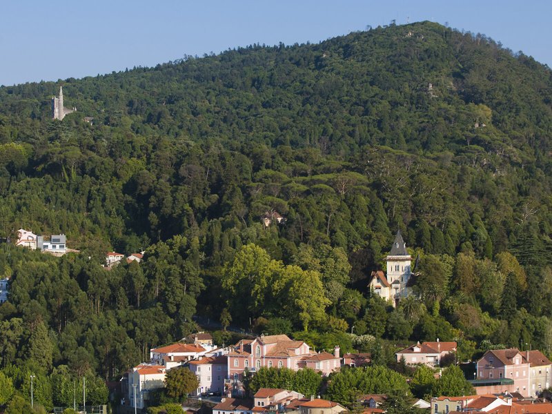 Alegre Hotel Bussaco