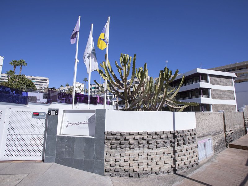 Jacarandas Beach