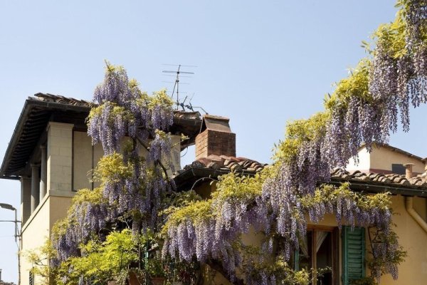 Le Cannelle B&B