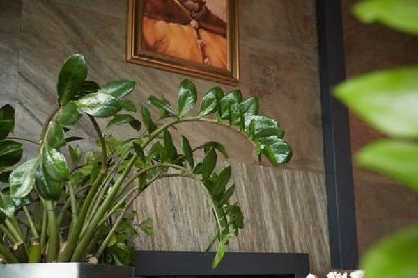 Hotel Batory