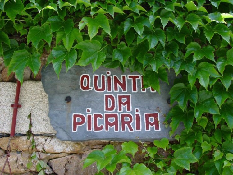Quinta Da Picaria