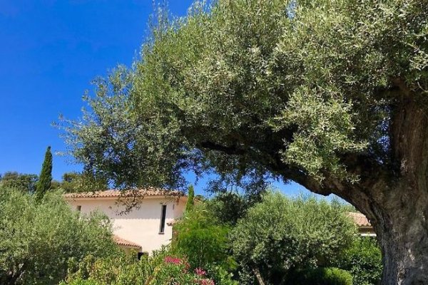 Nature Et Design