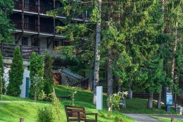 ANA Hotels Bradul