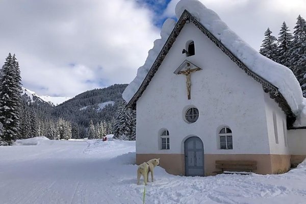 Alpine Touring Hotel