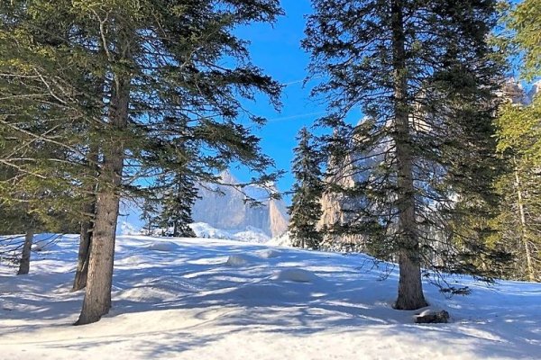 Alpine Touring Hotel