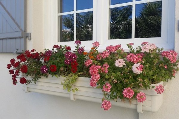 B&B Villa Blanche