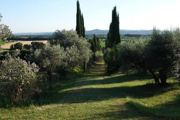 Bella di Ceciliano