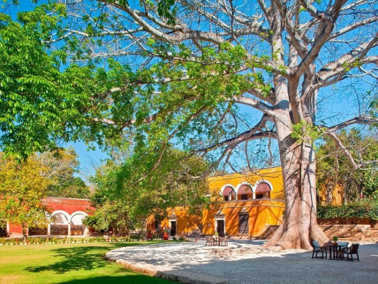 Hacienda Uayamon
