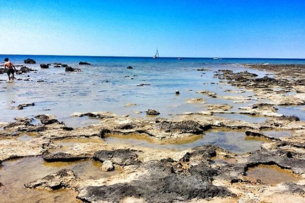 B&B L'Isola