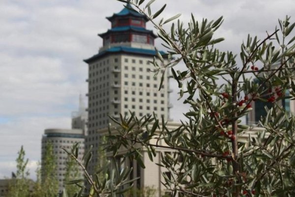 Beijing Palace Soluxe Hotel Astana