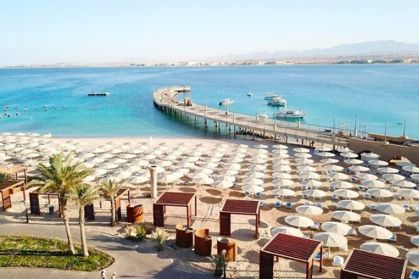 SRNTY Sahl Hasheesh