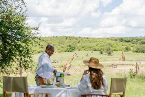 Mara Bushtops Camp