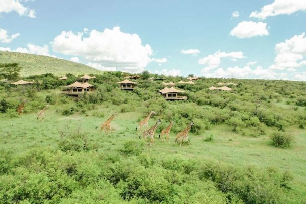Mara Bushtops Camp