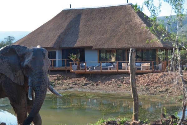 Barefoot Addo Elephant Lodge