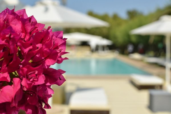 Plaza Resort Hotel