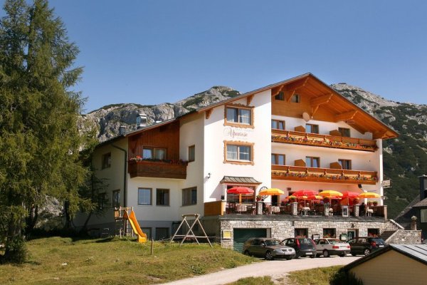 Alpenrose