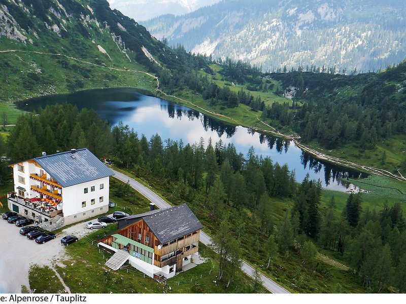 Alpenrose