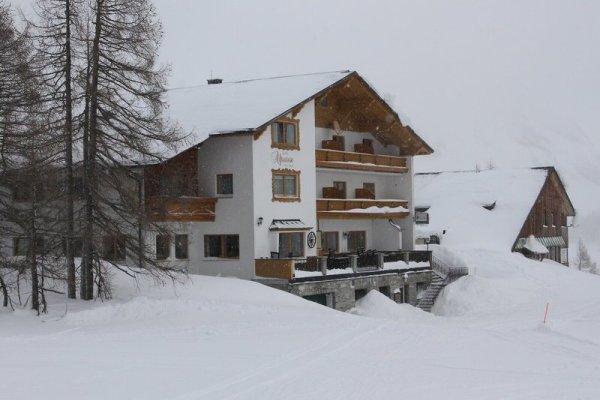 Alpenrose