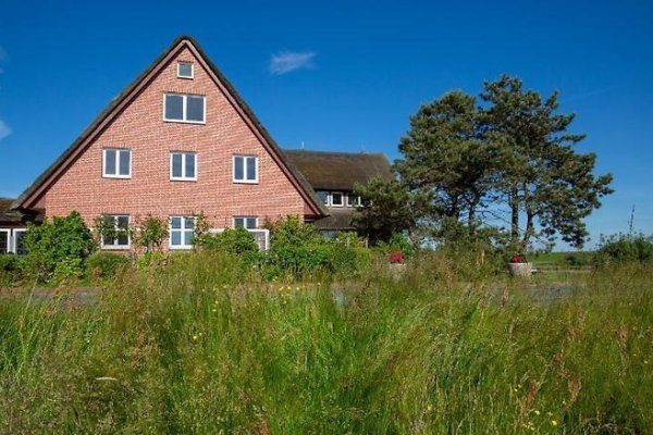 Hotel Meerland