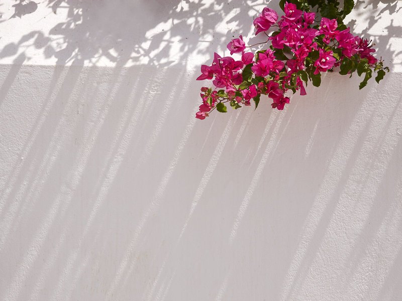 Spetses Retreat