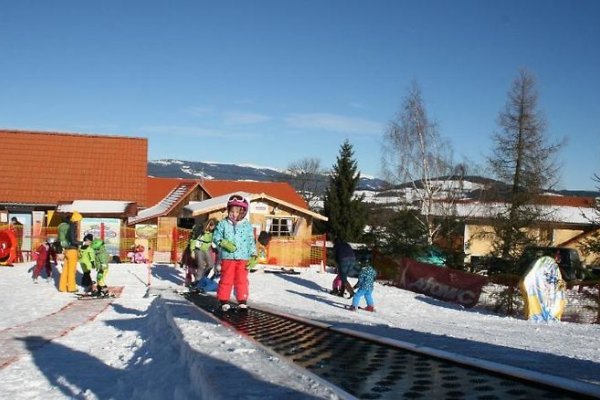 Der Almblick