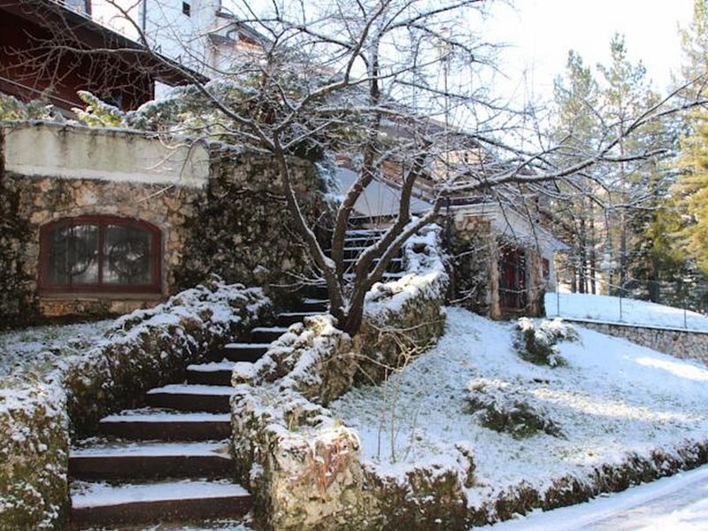 Orso Bianco