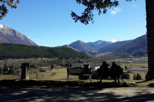 Orso Bianco