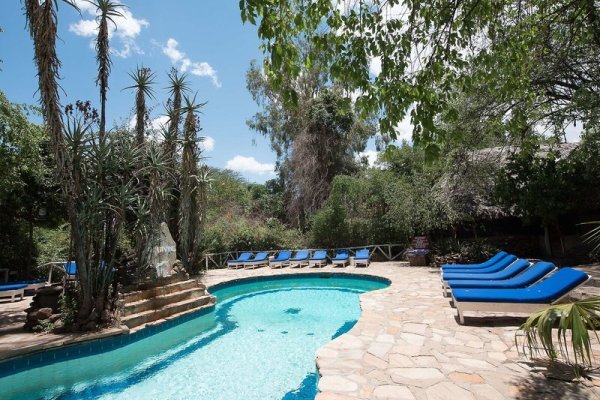 Fig Tree Camp