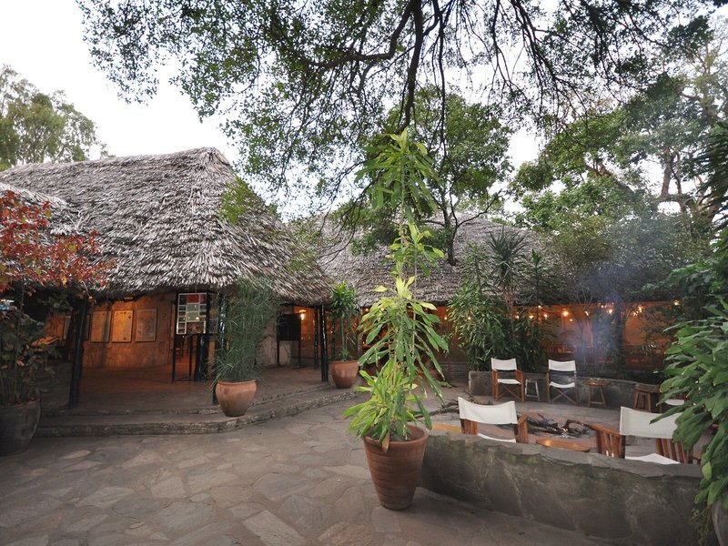 Fig Tree Camp