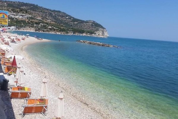 Leon Ristorante al Cavallino Rosso