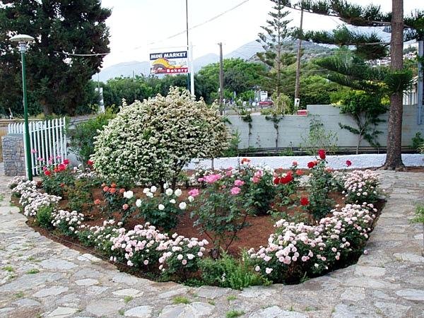 Creta Solaris