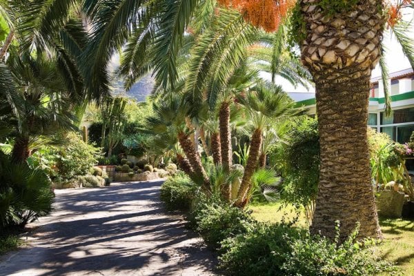Ischia: Park Hotel Terme Mediterraneo 4* - Pláž