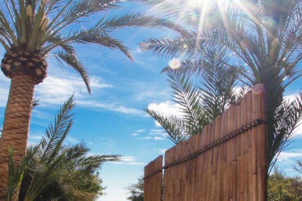 Španielsko/Costa Blanca: Playas de Guardamar 3* - Pláž