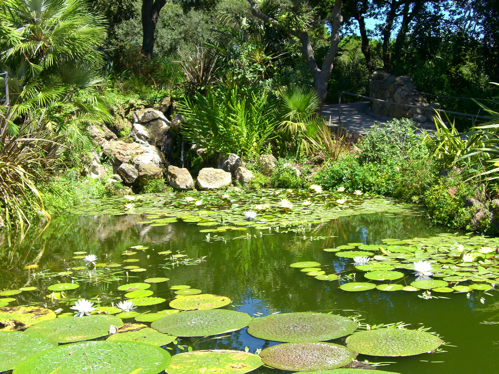 Botanická záhrada La Mortella