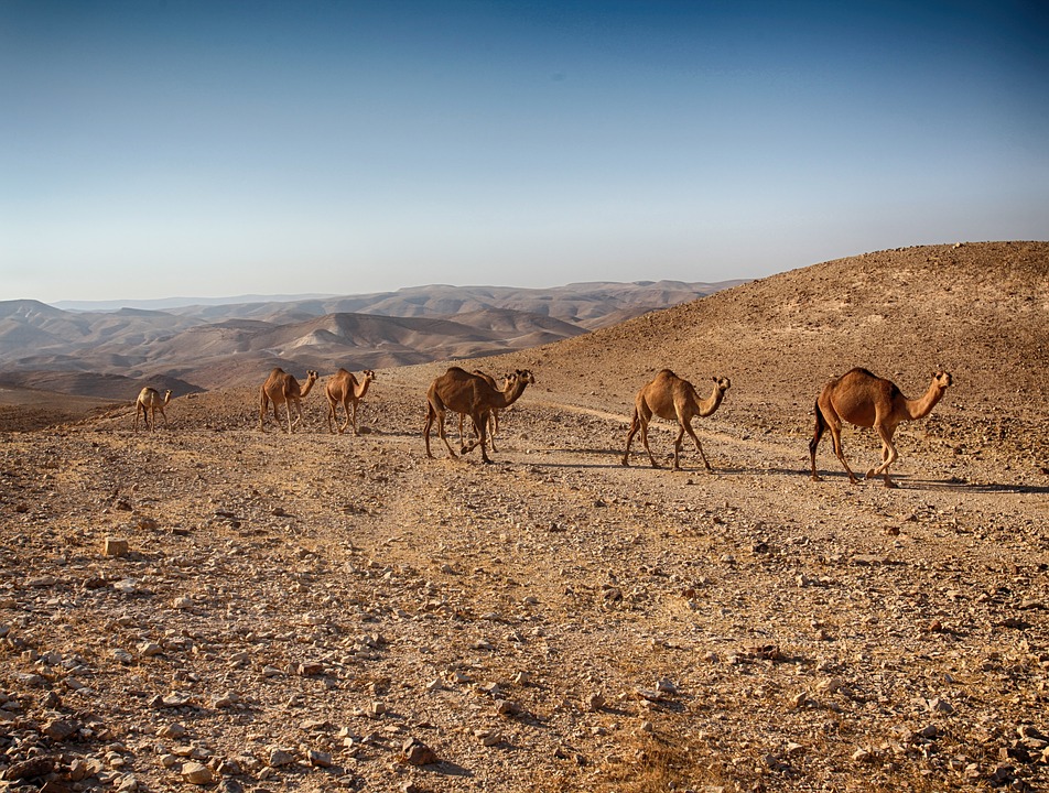 Negevská púšť zaberá viac ako polovicu krajiny