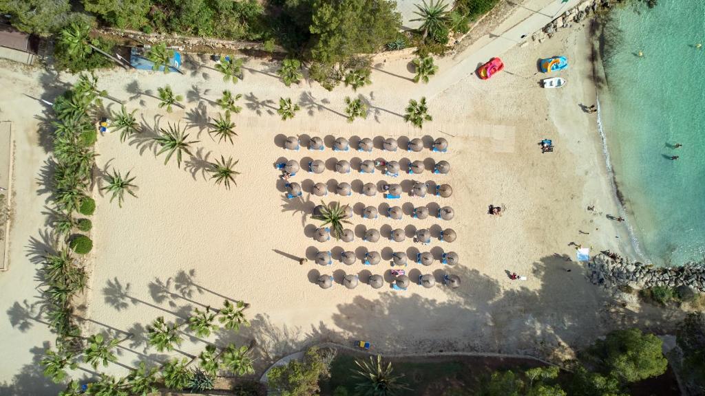 Malorka: Occidental Cala Viñas 4*