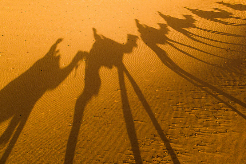 Výlet do púšte na ťavách