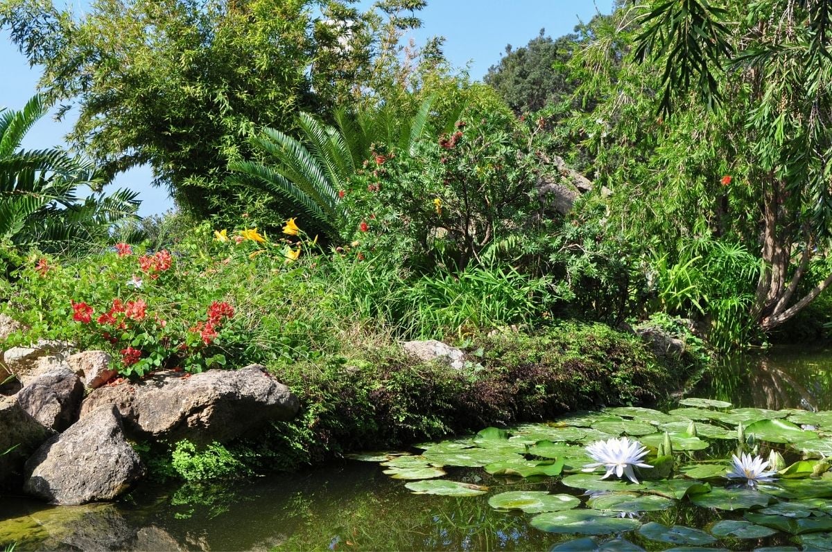 botanická záhrada Ravino ostrov Ischia