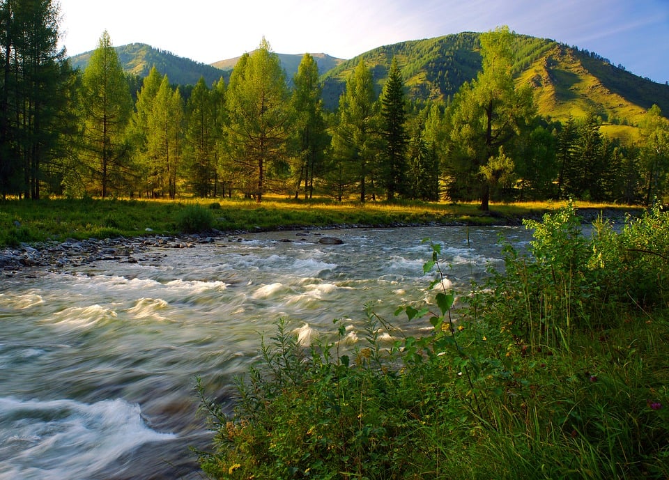 Príroda v pohorí Altaj