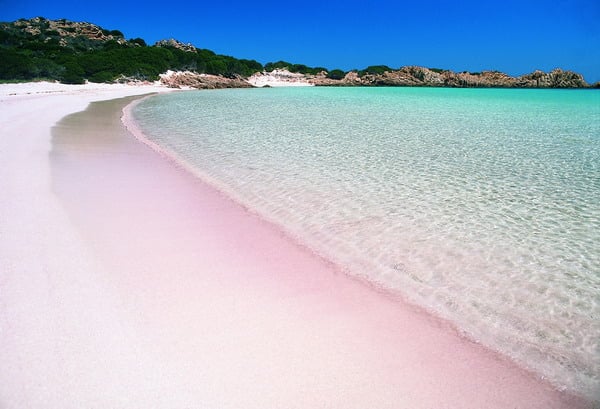 Spiaggia Rosa / Pink Beach